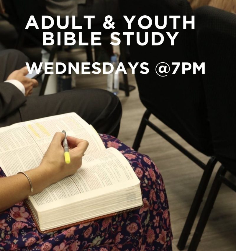 Brown & Beige Minimalist Monotone Personal Coach Instagram Post - 1